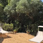 Mariza Villa *