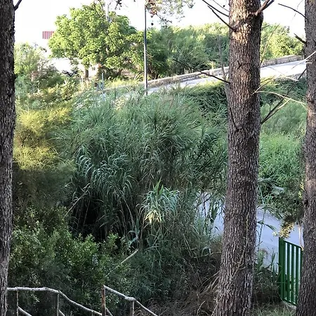 Mariza ヴィラ スコペッロ